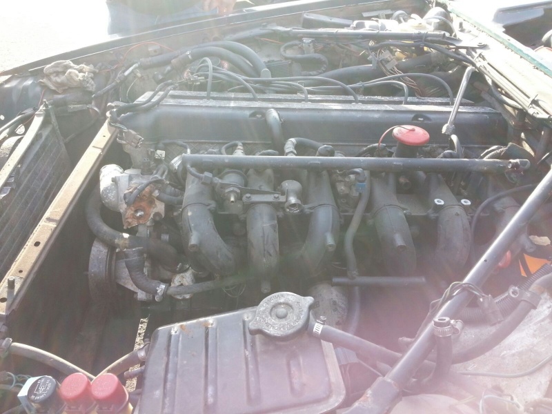 Photo 1013 Photo 1013