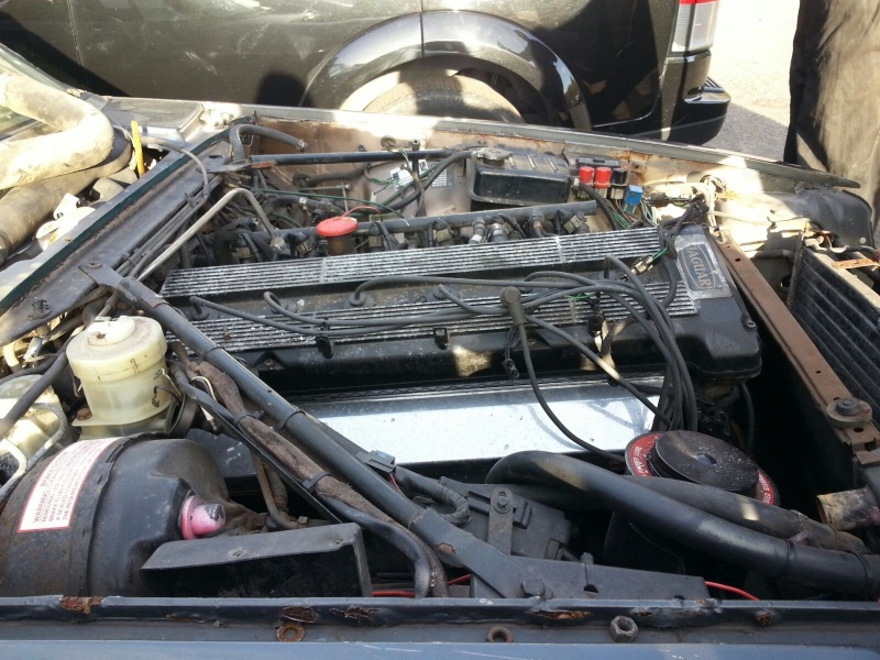 Photo 1014 Photo 1014