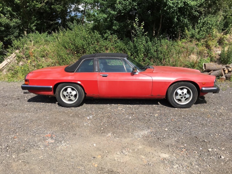 Photo 1015 Photo 1015