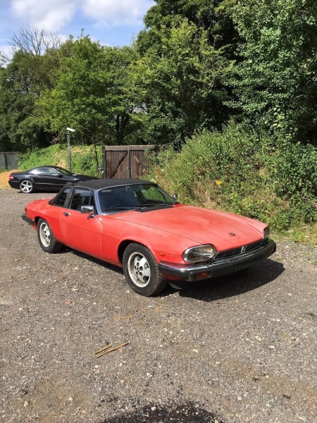 Photo 1016 Photo 1016