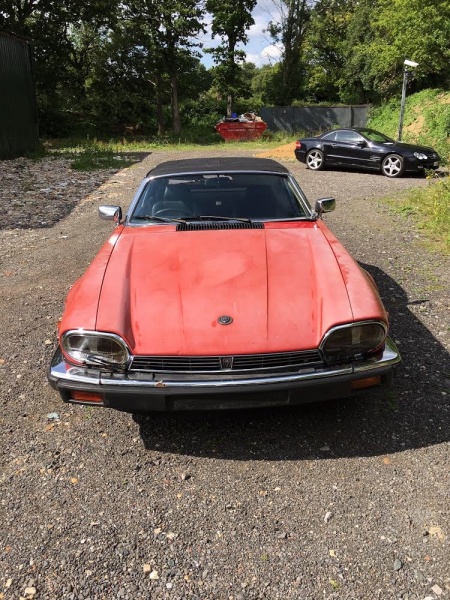 Photo 1017 Photo 1017