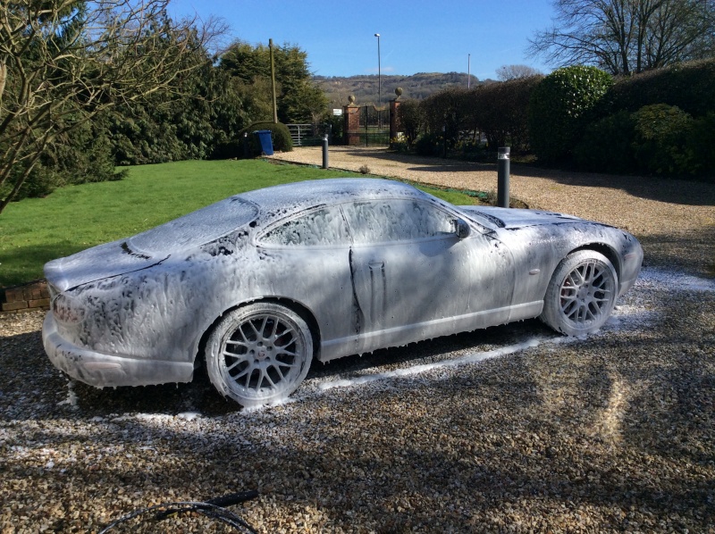 Photo 1040 Photo 1040