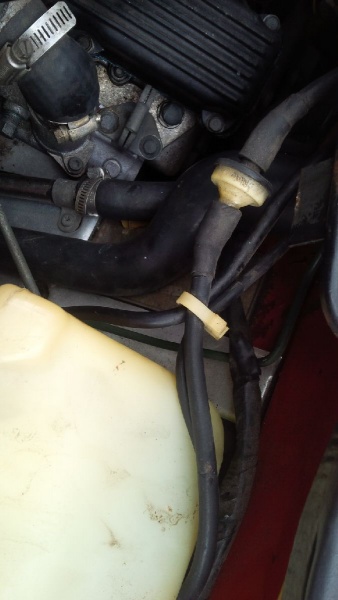 Photo 1044 Photo 1044