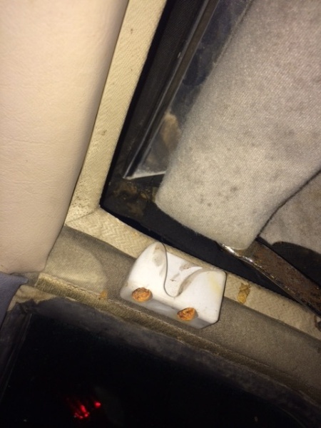 Photo 1098 Photo 1098