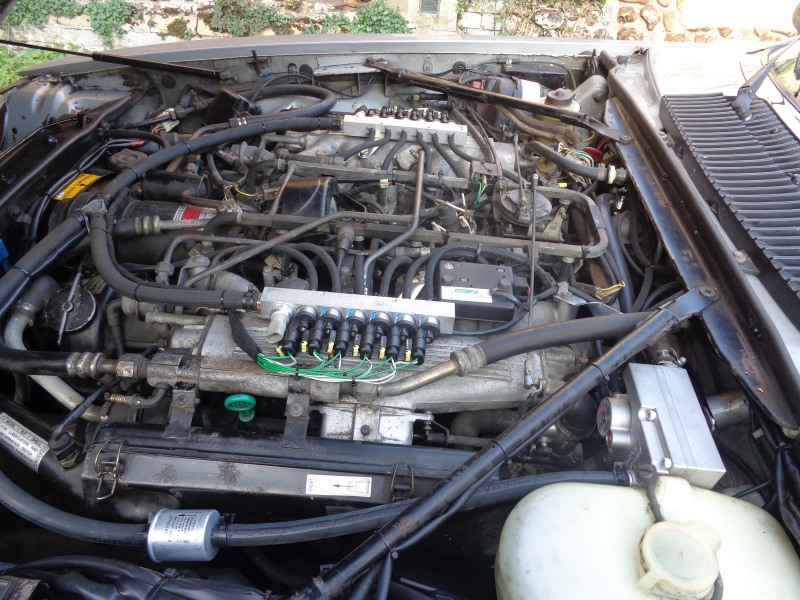 Photo 1104 Photo 1104