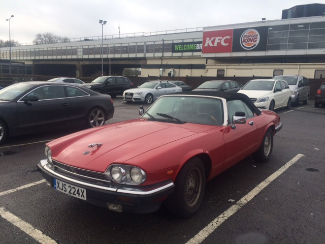 Photo 1131 Photo 1131