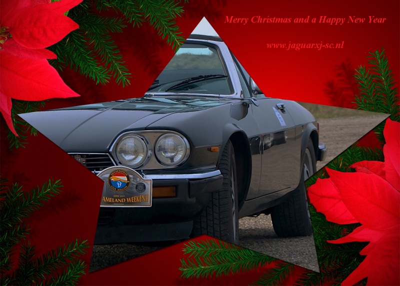 Photo 1132 Photo 1132