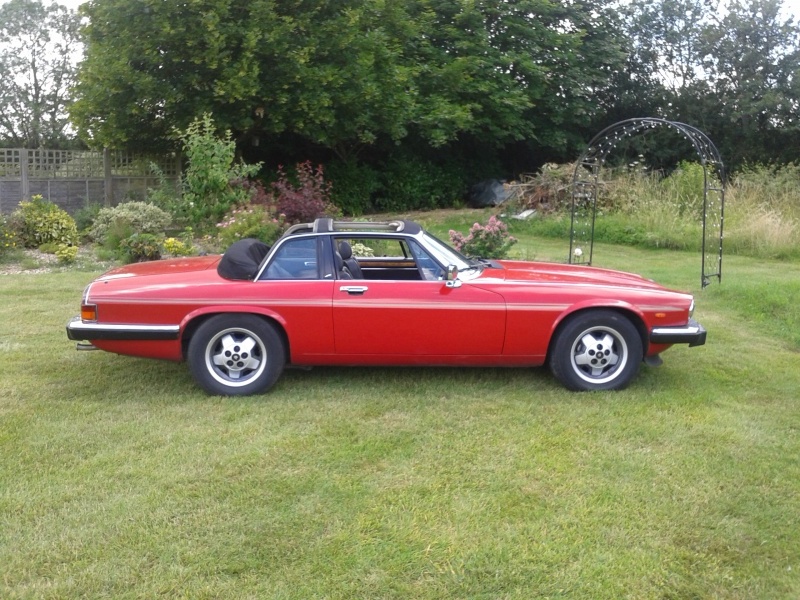 Photo 1134 Photo 1134