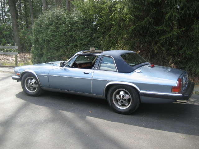 Photo 1146 Photo 1146