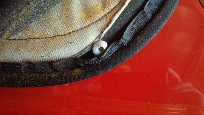 Photo 1164 Photo 1164