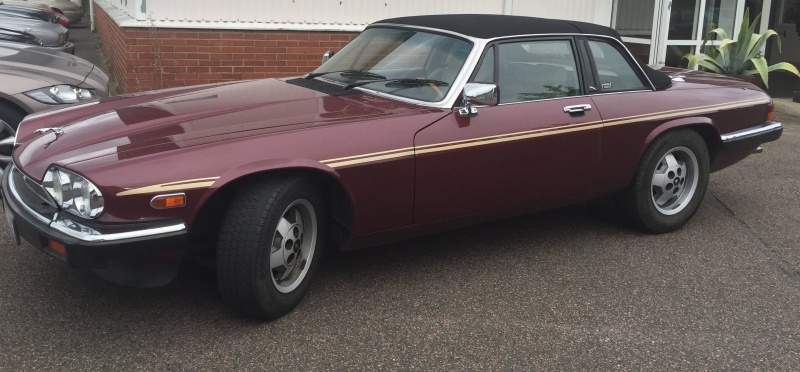 Photo 1169 Photo 1169