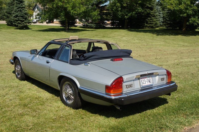 Photo 1171 Photo 1171