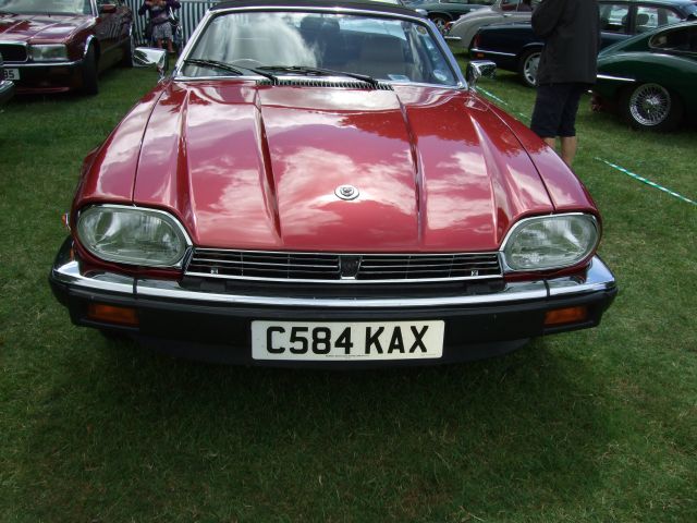 Photo 1182 Photo 1182