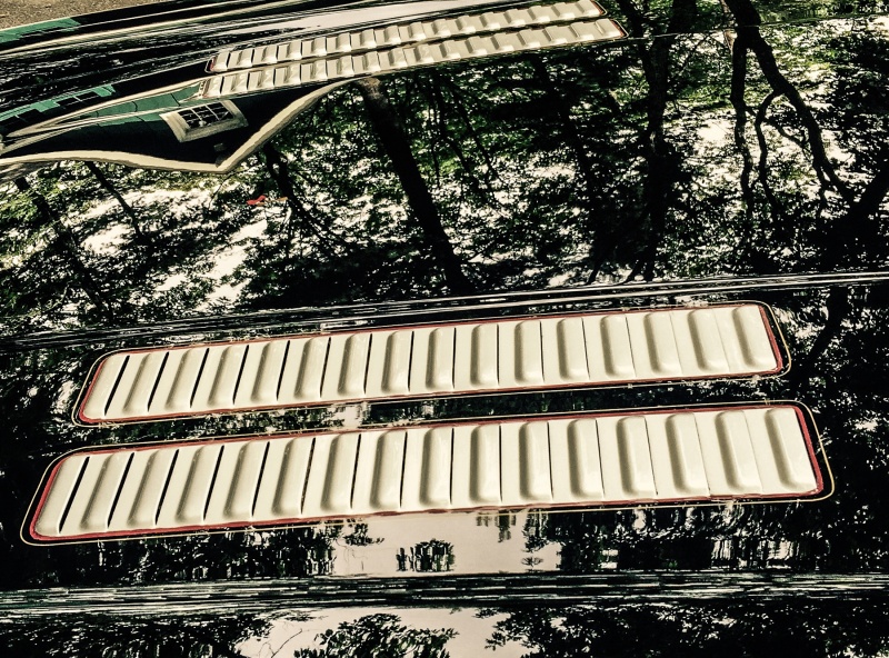 Photo 1194 Photo 1194