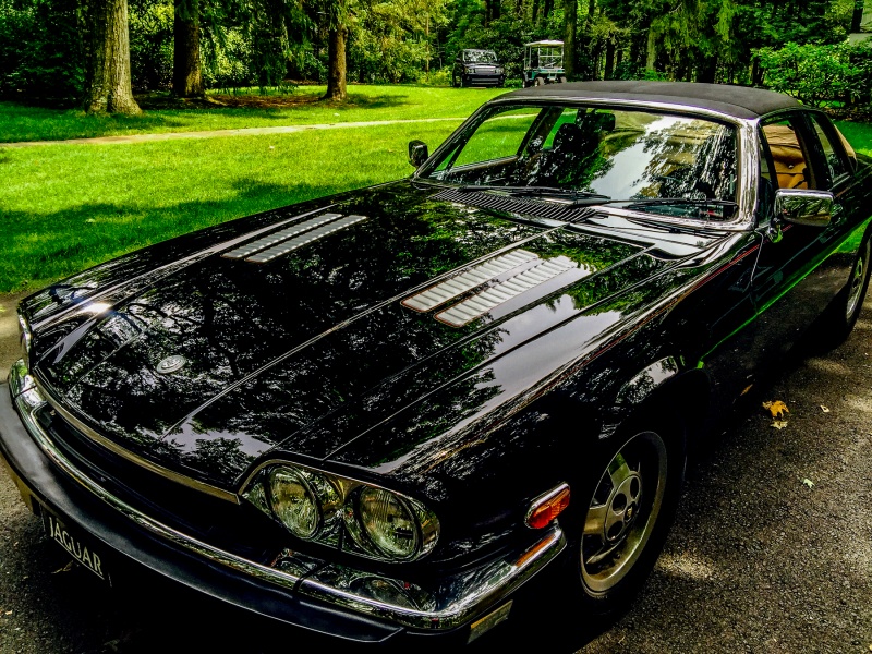 Photo 1195 Photo 1195