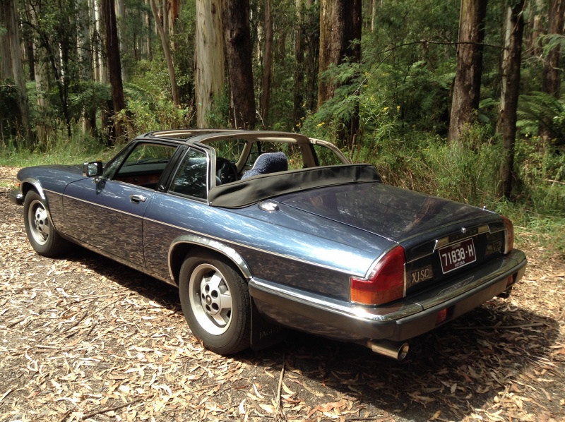 Photo 1246 Photo 1246