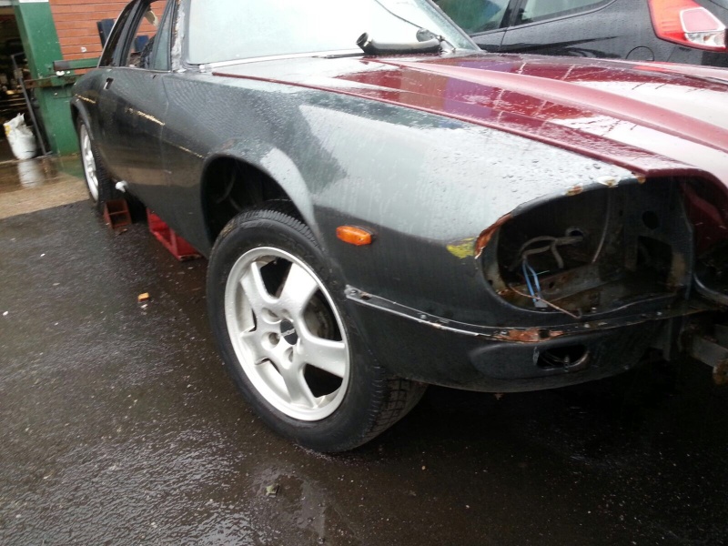 Photo 1252 Photo 1252