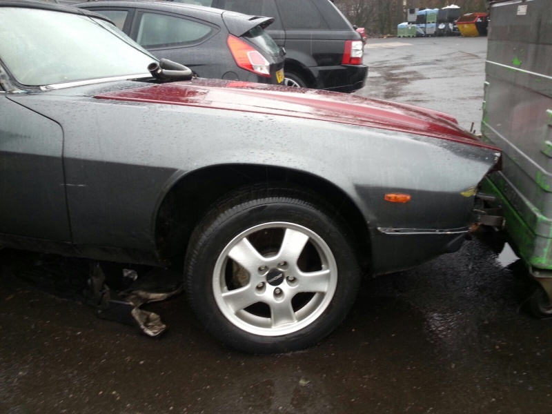 Photo 1253 Photo 1253