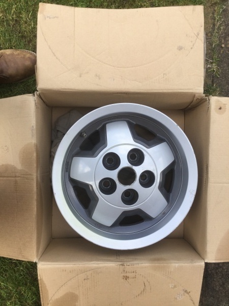 Photo 1317 Photo 1317