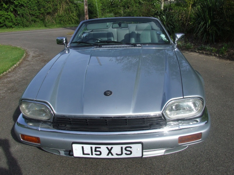 Photo 1350 Photo 1350