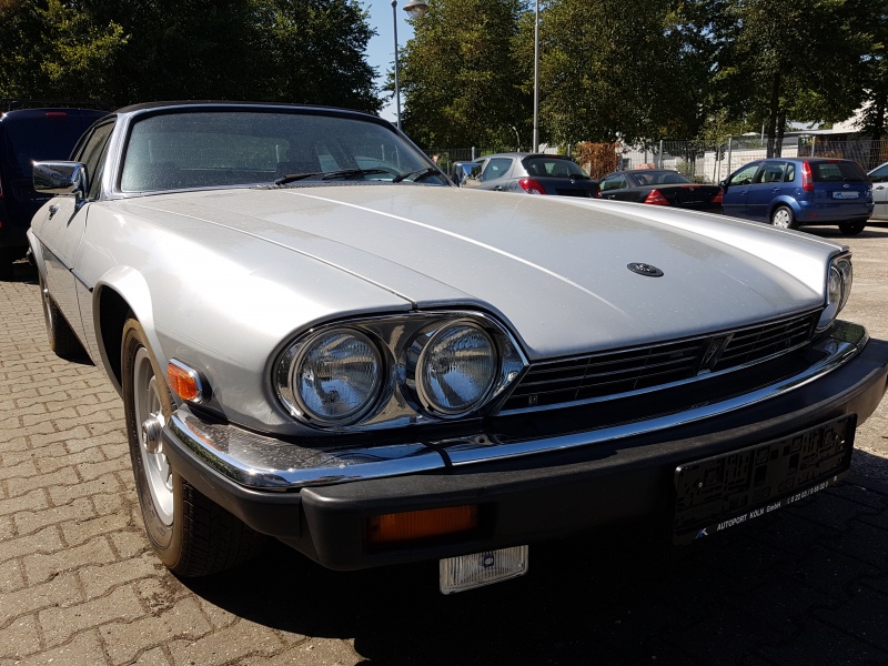 Photo 1536 Photo 1536