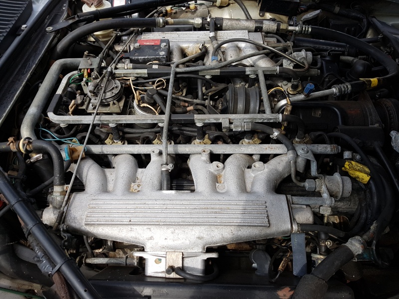 Photo 1538 Photo 1538