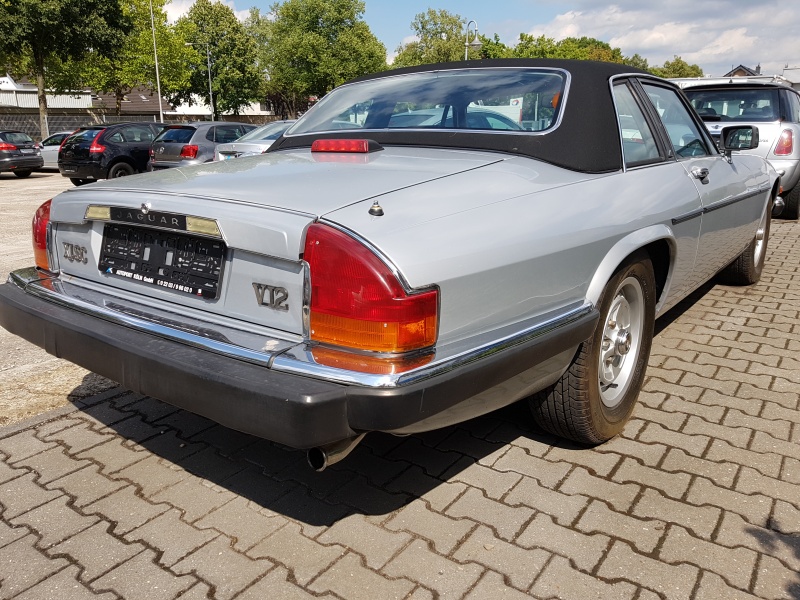 Photo 1539 Photo 1539