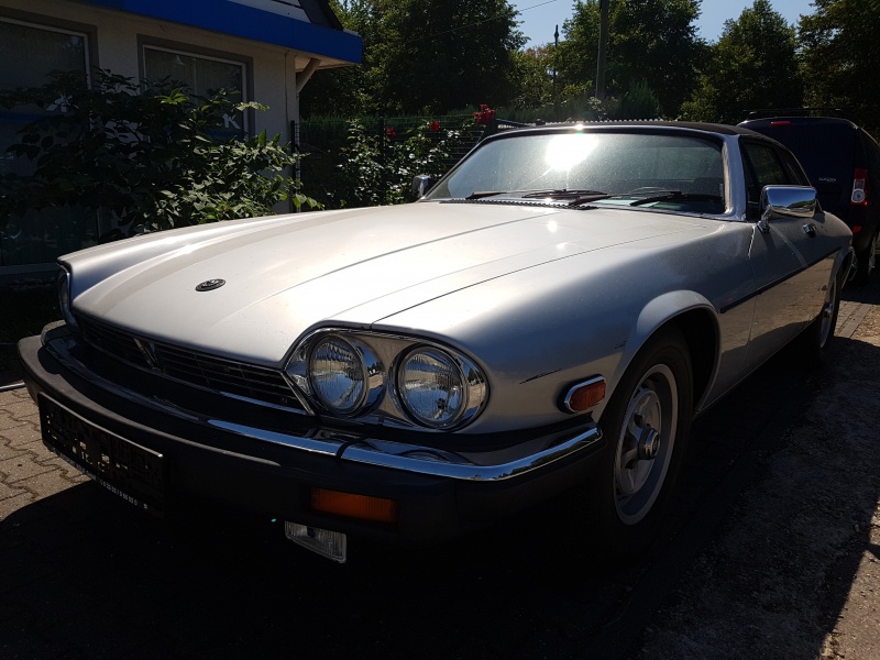 Photo 1541 Photo 1541