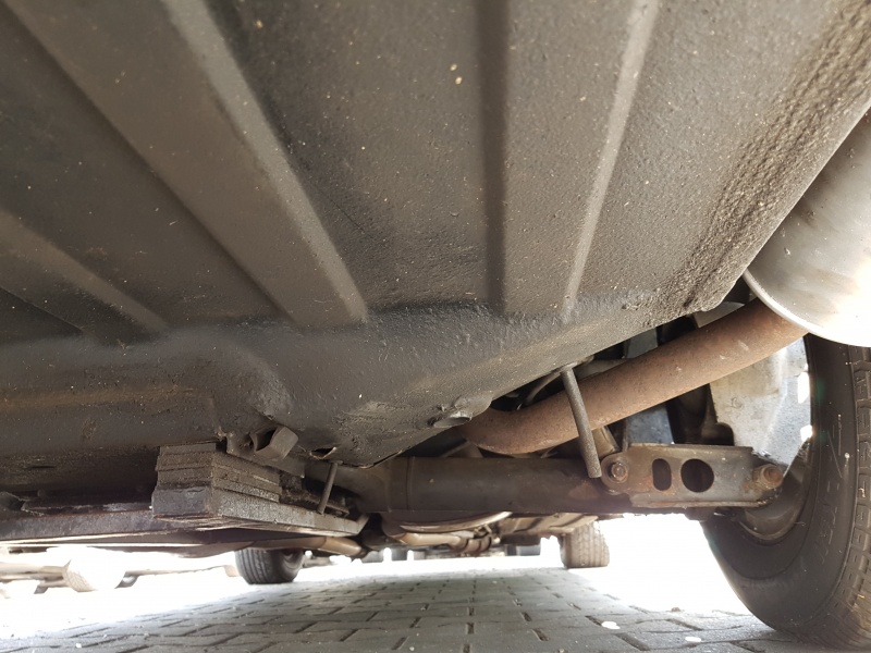 Photo 1551 Photo 1551