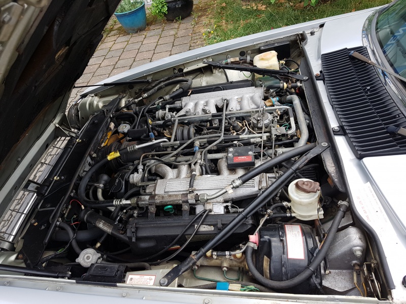 Photo 1553 Photo 1553