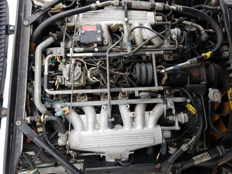 Photo 1554 Photo 1554