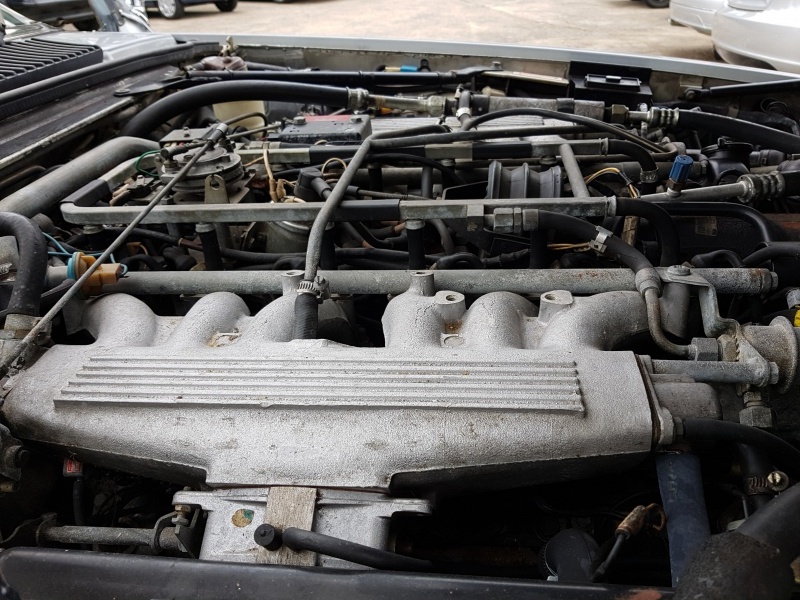 Photo 1555 Photo 1555