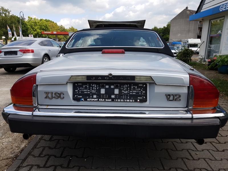 Photo 1557 Photo 1557