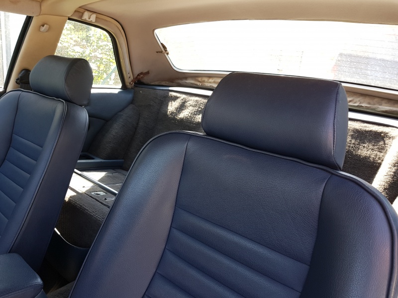 Photo 1561 Photo 1561