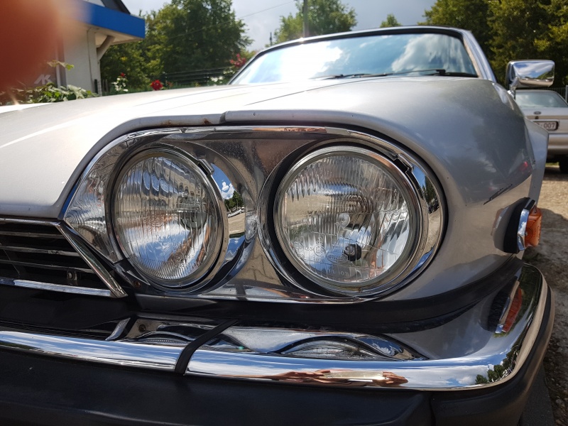 Photo 1562 Photo 1562