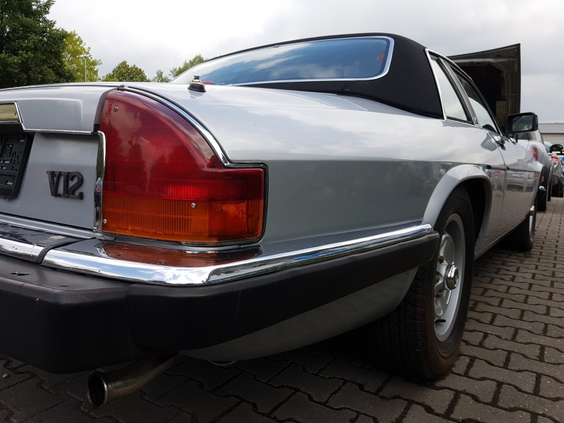 Photo 1563 Photo 1563