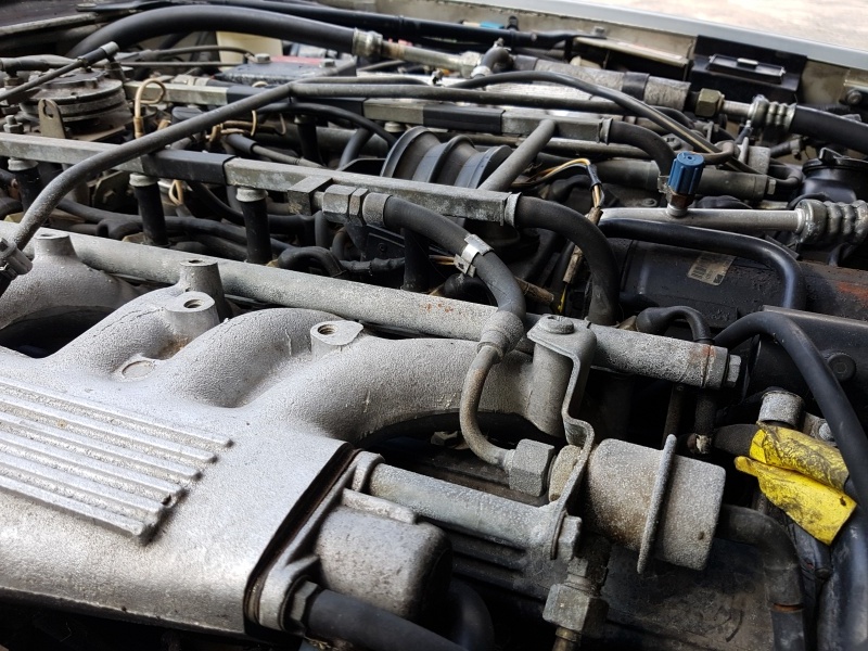 Photo 1565 Photo 1565