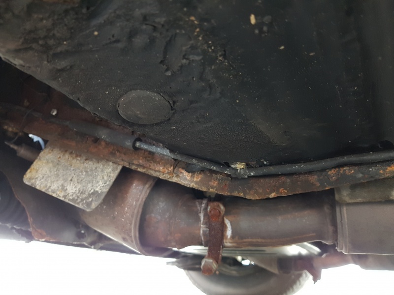 Photo 1568 Photo 1568