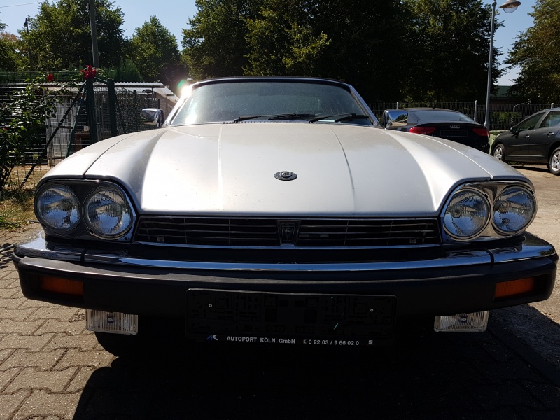 Photo 1569 Photo 1569