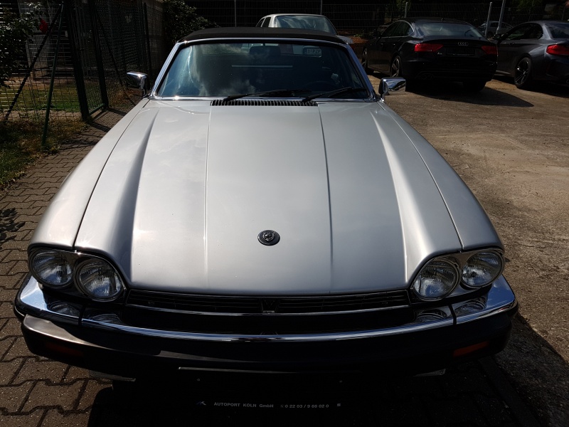 Photo 1570 Photo 1570