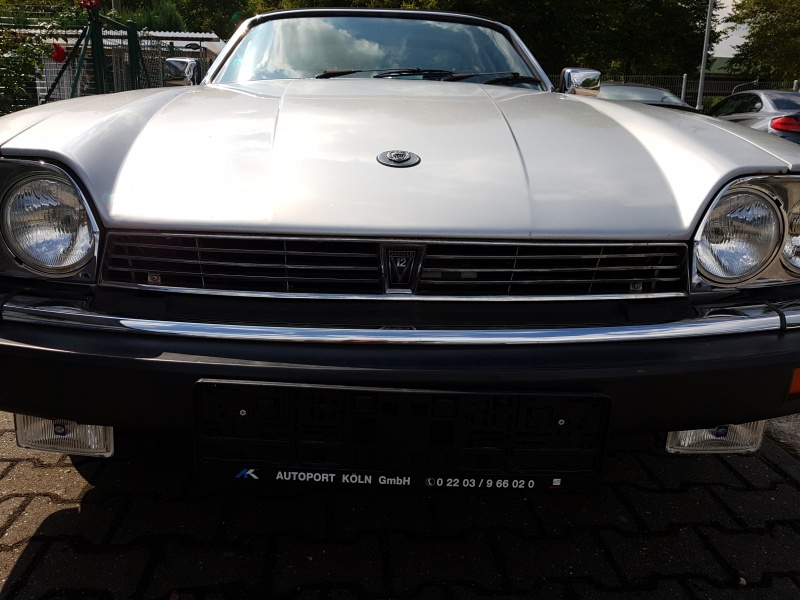 Photo 1571 Photo 1571