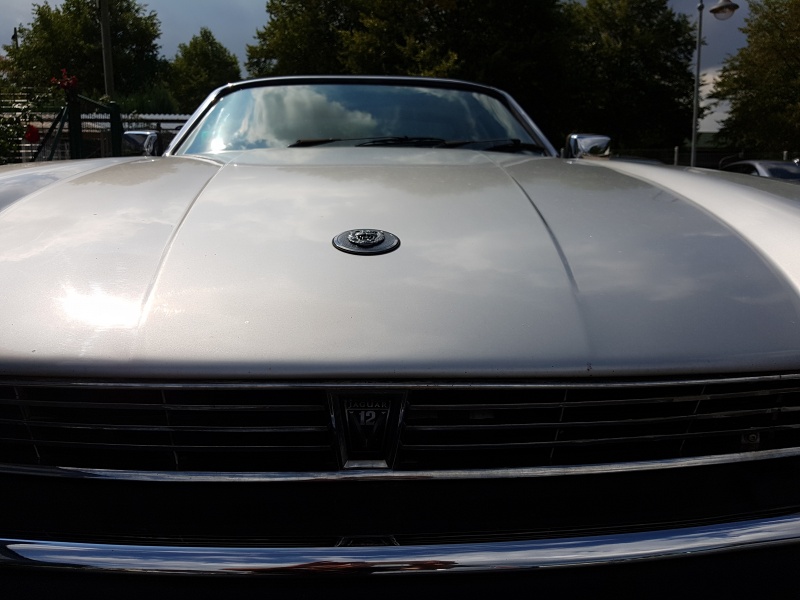 Photo 1572 Photo 1572