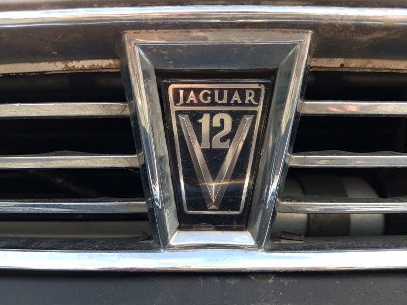 Photo 1574 Photo 1574