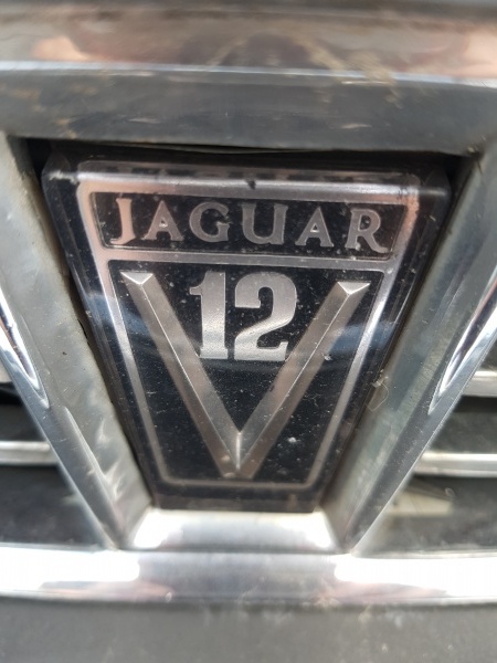 Photo 1575 Photo 1575