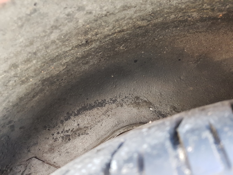 Photo 1592 Photo 1592