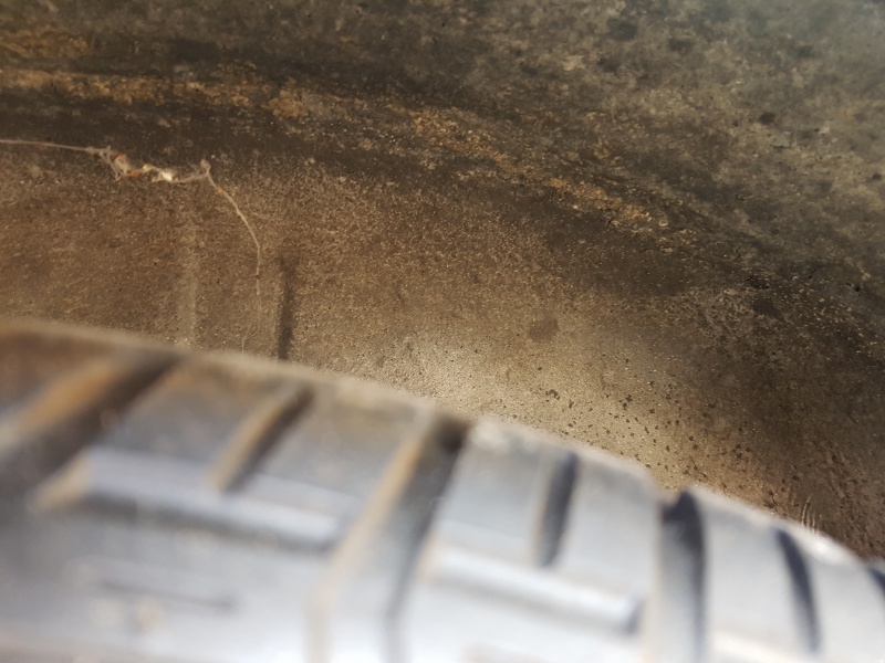 Photo 1593 Photo 1593