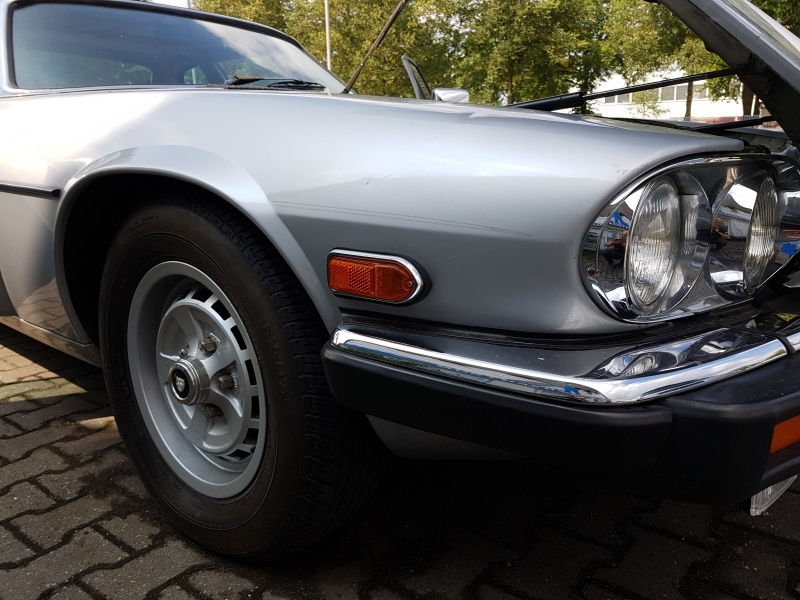 Photo 1595 Photo 1595