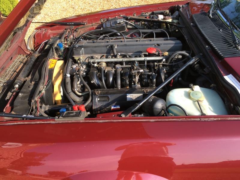 Photo 1678 Photo 1678