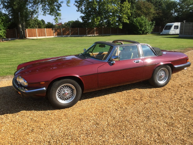 Photo 1684 Photo 1684