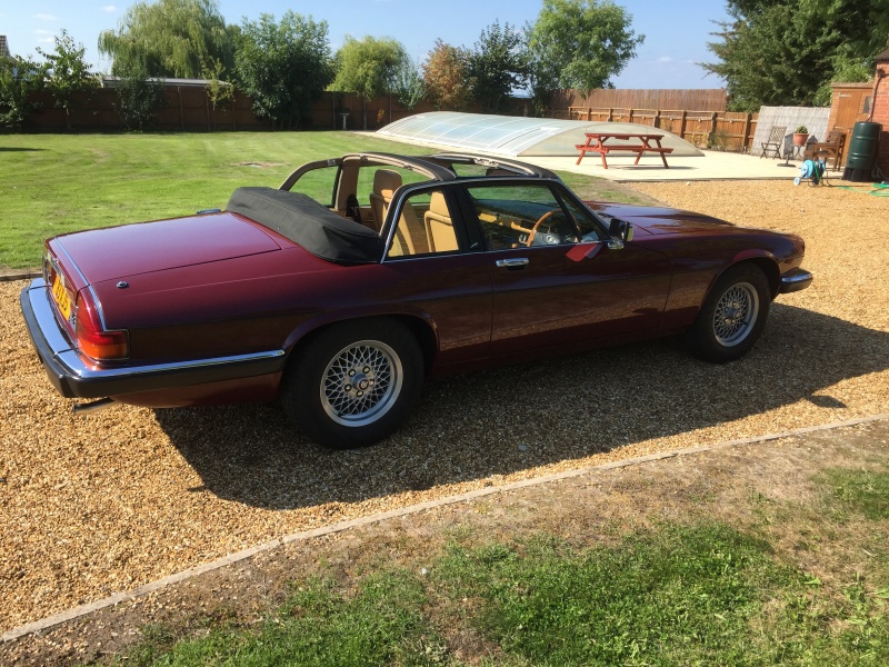 Photo 1685 Photo 1685